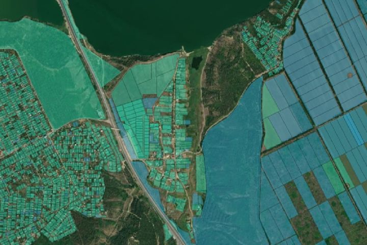 Ділянка 2 га біля ліска та Хаджибейського лиману