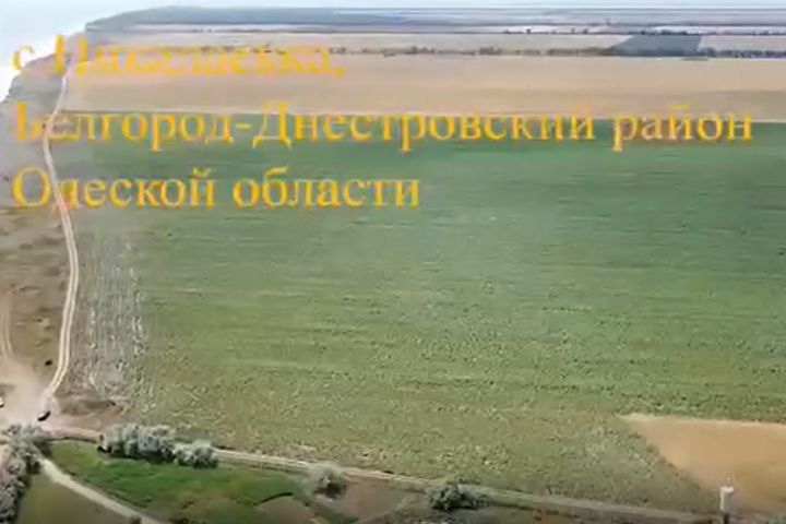 Ділянка 2 га біля Чорного моря в с. Миколаївка 