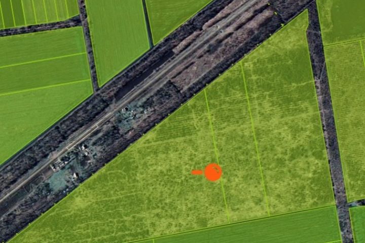 Plots of 31 hectares for planting a garden in the Razdelnian district