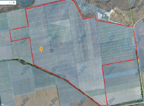 Land area with a total area of ​​155 hectares for agricultural purposes