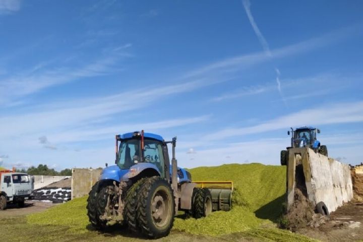  Агропідприємство 1100 га у Березівському районі Одеської області