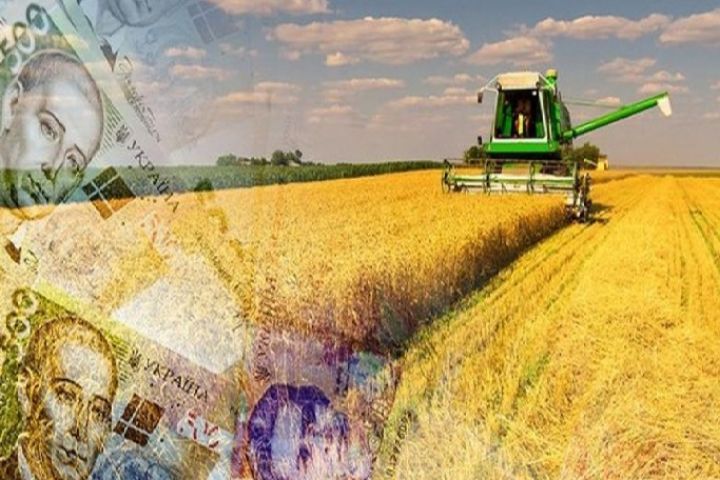 Agricultural enterprise of 3,600 ha in the Odesa region