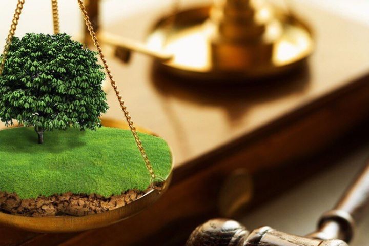 В Україні відновлюється оформлення прав на землю