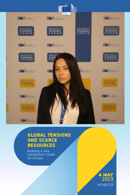 Director of S&Yu Julia Matyushkina - participant of the Brussels Economic Forum