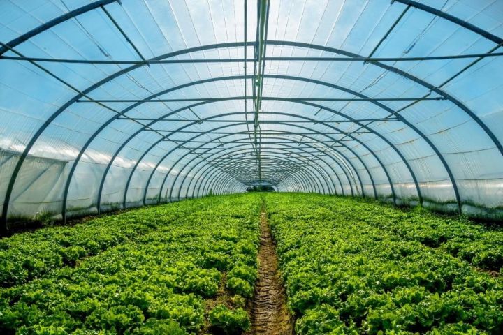 З початку 2023 року сільськогосподарським господарствам надано понад 170 млн грн державної підтримки